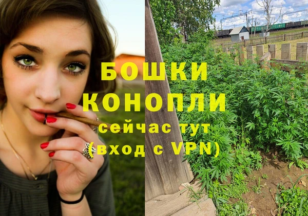 крисы Магадан
