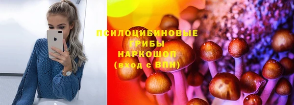 крисы Магадан