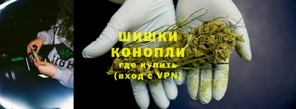 крисы Магадан
