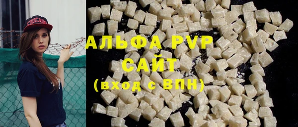 крисы Магадан