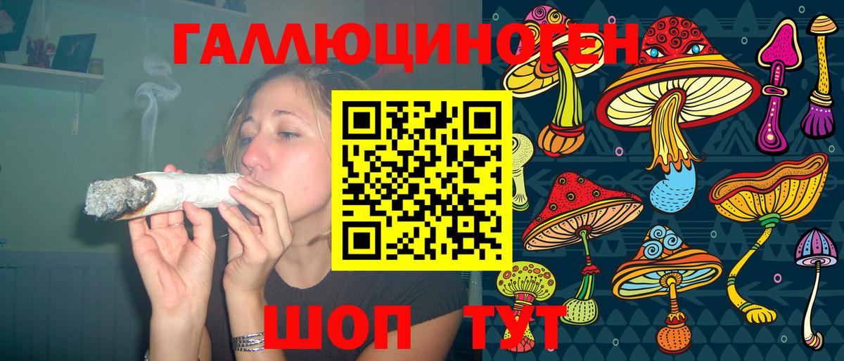 Псилоцибиновые грибы Psilocybe  Вход с VPN  Псилоцибиновые грибы Cubensis  Фурманов 